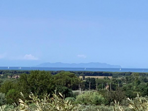 Campo alle More Cecina